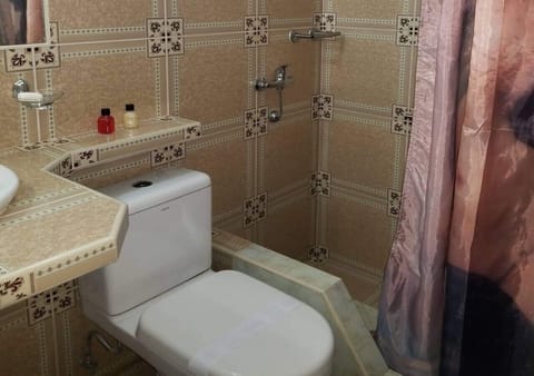 Classic Double Room | Bathroom | Shower, rainfall showerhead, free toiletries, hair dryer