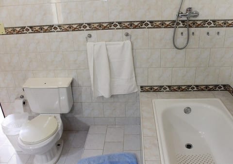 Family Double Room | Bathroom | Shower, rainfall showerhead, free toiletries, hair dryer