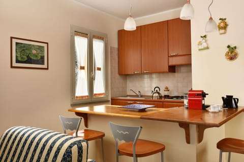 Deluxe Apartment | Private kitchen | Fridge, coffee/tea maker, cookware/dishes/utensils