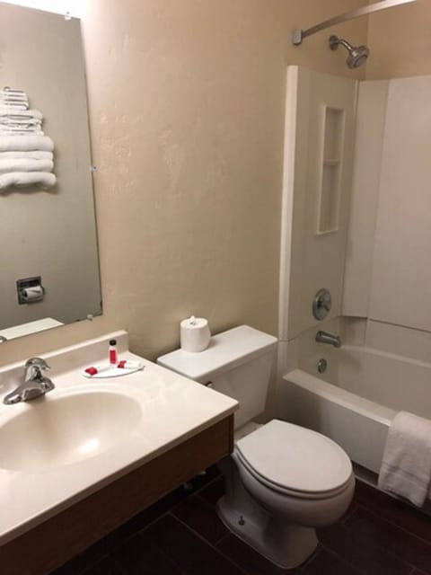 Combined shower/tub, hair dryer, towels