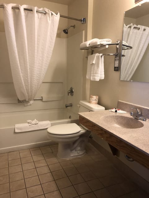 Combined shower/tub, free toiletries, hair dryer, towels