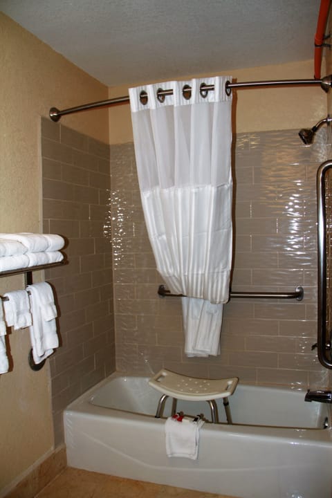 Room, 1 Queen Bed, Accessible, Non Smoking | Bathroom shower