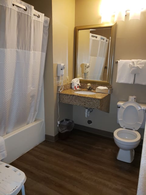 Room, 1 King Bed, Accessible, Non Smoking (Mobility) | Bathroom | Combined shower/tub, eco-friendly toiletries, hair dryer, towels