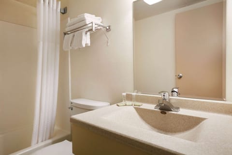 Combined shower/tub, free toiletries, hair dryer, towels