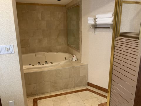 Deluxe Studio Suite, 1 King Bed, Non Smoking, Lake View | Bathroom | Combined shower/tub, free toiletries, towels