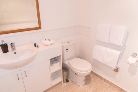 Two Bedroom Apartment | Bathroom | Shower, rainfall showerhead, free toiletries, hair dryer