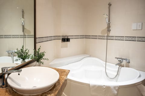 Premium Double Room | Bathroom | Shower, free toiletries, hair dryer, bathrobes