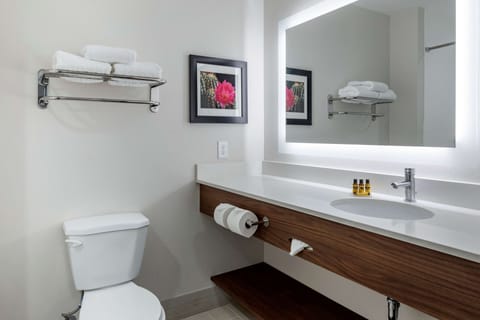 Suite, 1 King Bed, Non Smoking, Refrigerator & Microwave (with Sofabed) | Bathroom | Free toiletries, hair dryer, towels, soap