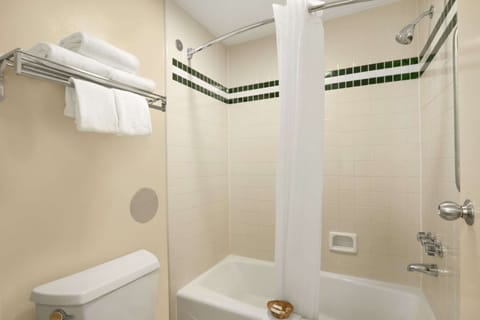 Combined shower/tub, free toiletries, hair dryer, towels