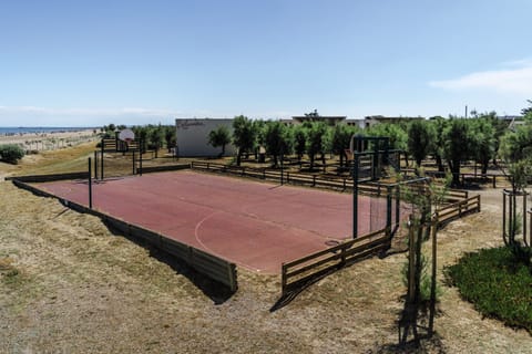 Basketball court