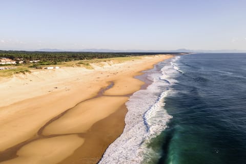 Beach nearby, beach volleyball