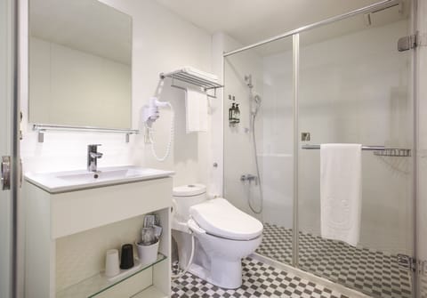 Shower, free toiletries, hair dryer, electronic bidet