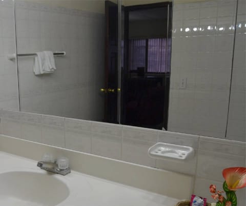 Combined shower/tub, hair dryer, towels