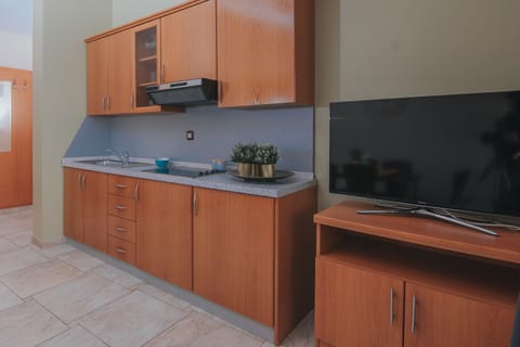 Apartment, 2 Bedrooms, Terrace, Sea View | Private kitchen | Fridge, microwave, stovetop, electric kettle