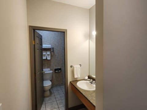 Business Room, 1 King Bed, Non Smoking | Bathroom | Combined shower/tub, free toiletries, hair dryer, towels