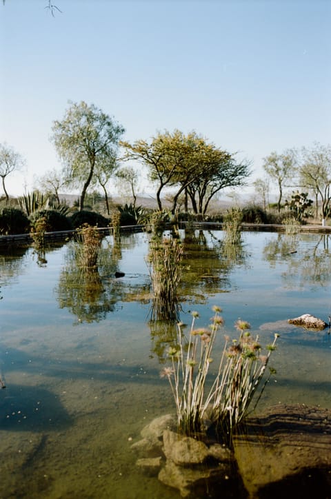 Exclusive Loft (Casa Arrebol) | Living area
