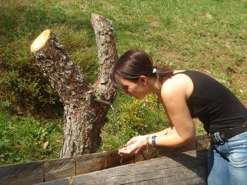 Chalet | View from property