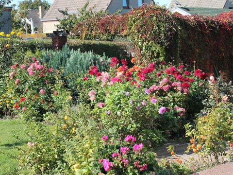 Apartment | Exterior