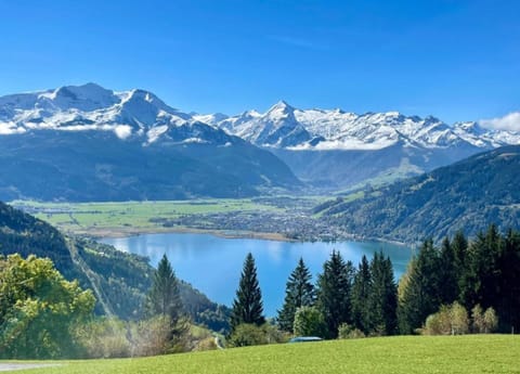 Apartment | View from property