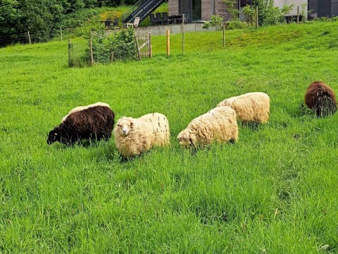 House | Property amenity