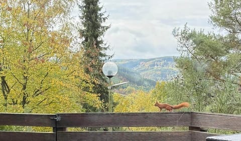 House | Interior detail