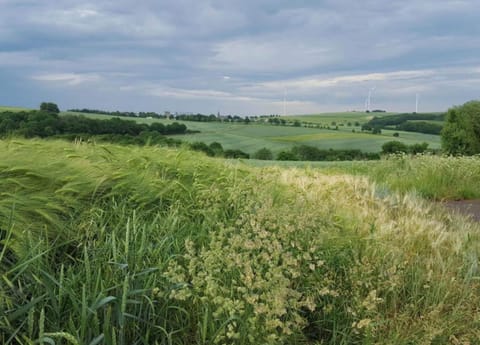 Apartment | View from property
