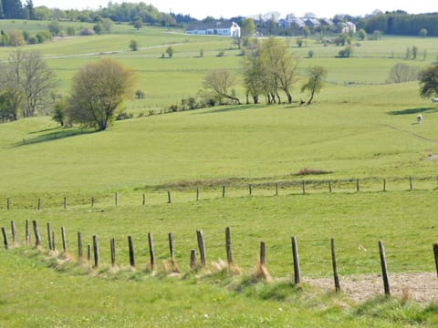 House | View from property