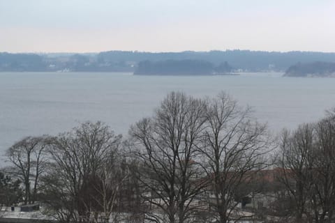 Apartment | View from property