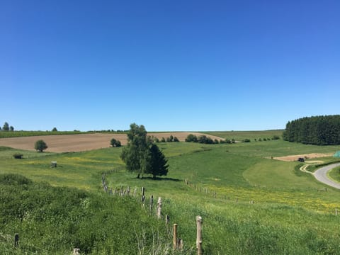 Apartment | View from property