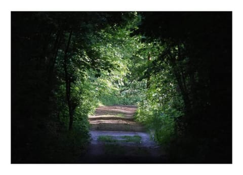 House | View from property