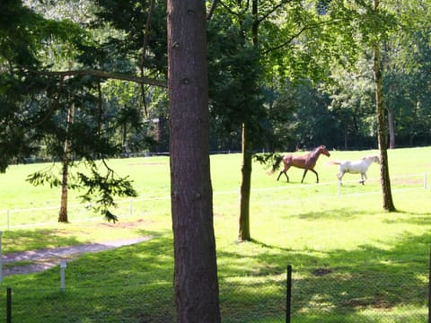 House | View from property