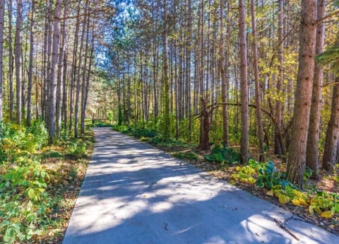 House | View from property