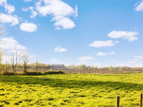 House | View from property