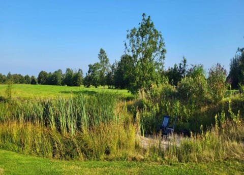 House | View from property