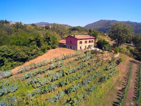 House | View from property