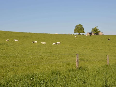 Cottage | View from property