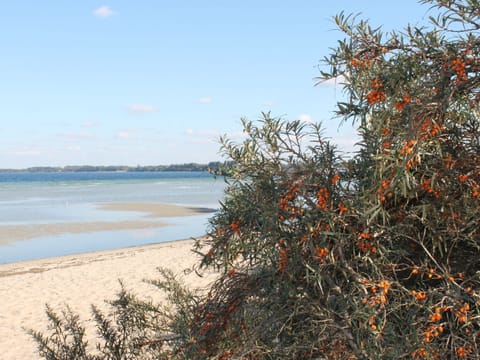 Apartment | View from property