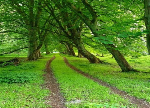 Apartment | View from property