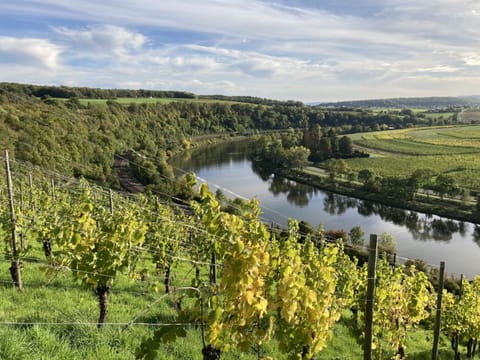 Apartment | View from property