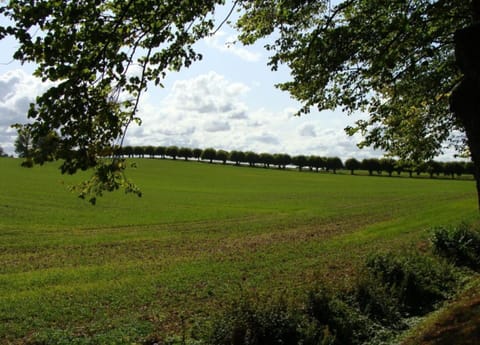 Apartment | View from property