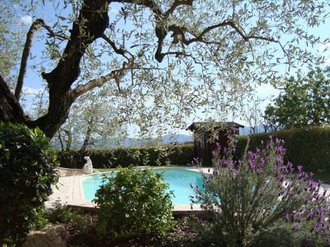 House | Pool | Indoor pool, outdoor pool