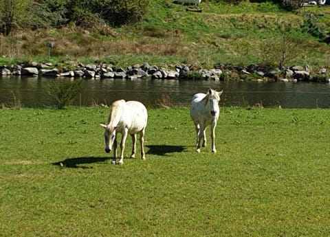 Apartment | View from property