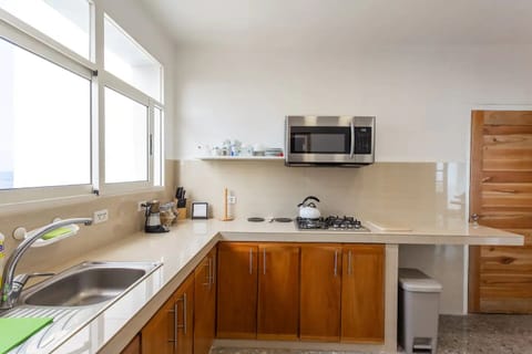 Deluxe Apartment | Private kitchen | Full-size fridge, microwave, oven, espresso maker