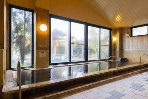 Sauna, steam room, hot springs