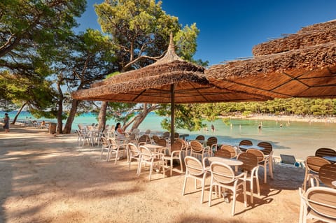 Beach bar