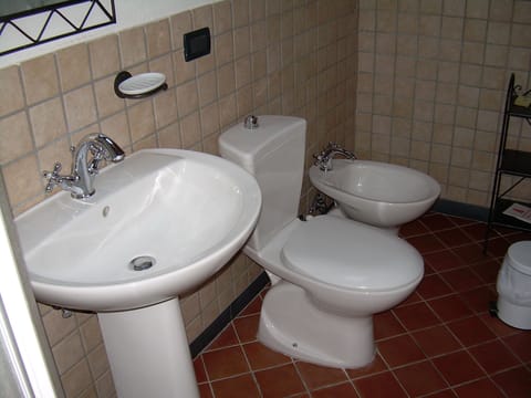 Shower, rainfall showerhead, hair dryer, bidet