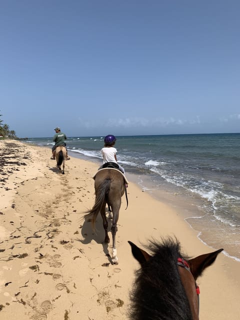 Horseback riding