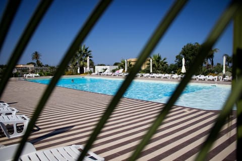 Seasonal outdoor pool, sun loungers