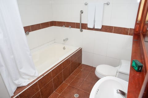 Superior Double Room | Bathroom | Shower, free toiletries, towels