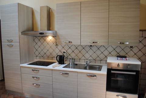 Basic Apartment | Private kitchenette | Full-size fridge, microwave, stovetop, dishwasher